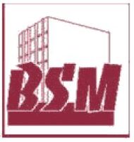 bsm